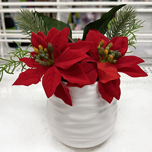 Christmas red plant décor